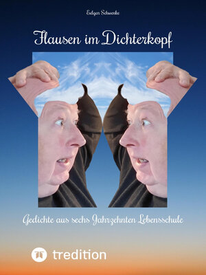 cover image of Flausen im Dichterkopf--Gedichte voller Sinn, auch in Form von Un-, Hinter- und Tiefsinn